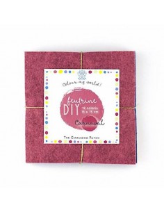 Assortiment de 12 Feutrines... 2