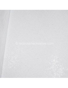 Toile Thermocollante DOUBLE...