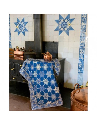 Promenade dans un Château Hollandais...