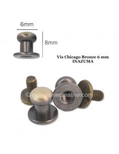 Lot de 2 Vis Chicago 6 mm -...