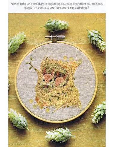 Le Grand Livre des Tambours Brodés -...